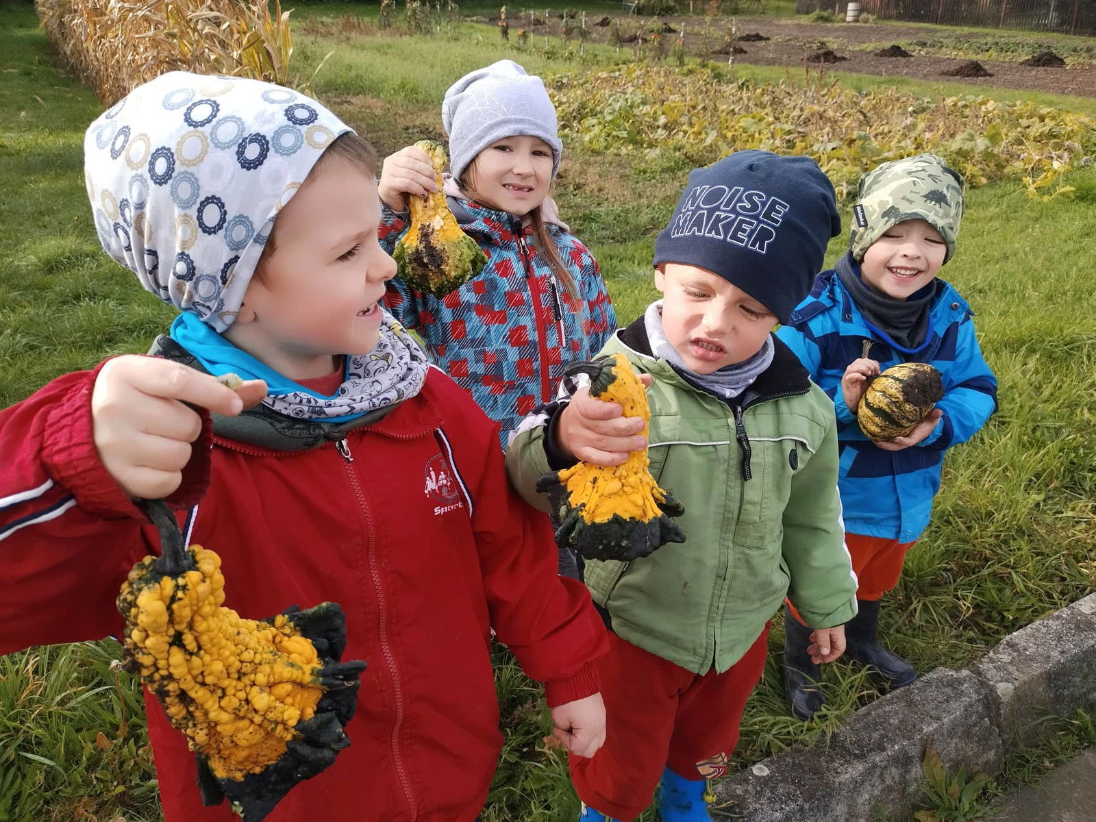 310561678_477679151057747_7143634359580688827_n