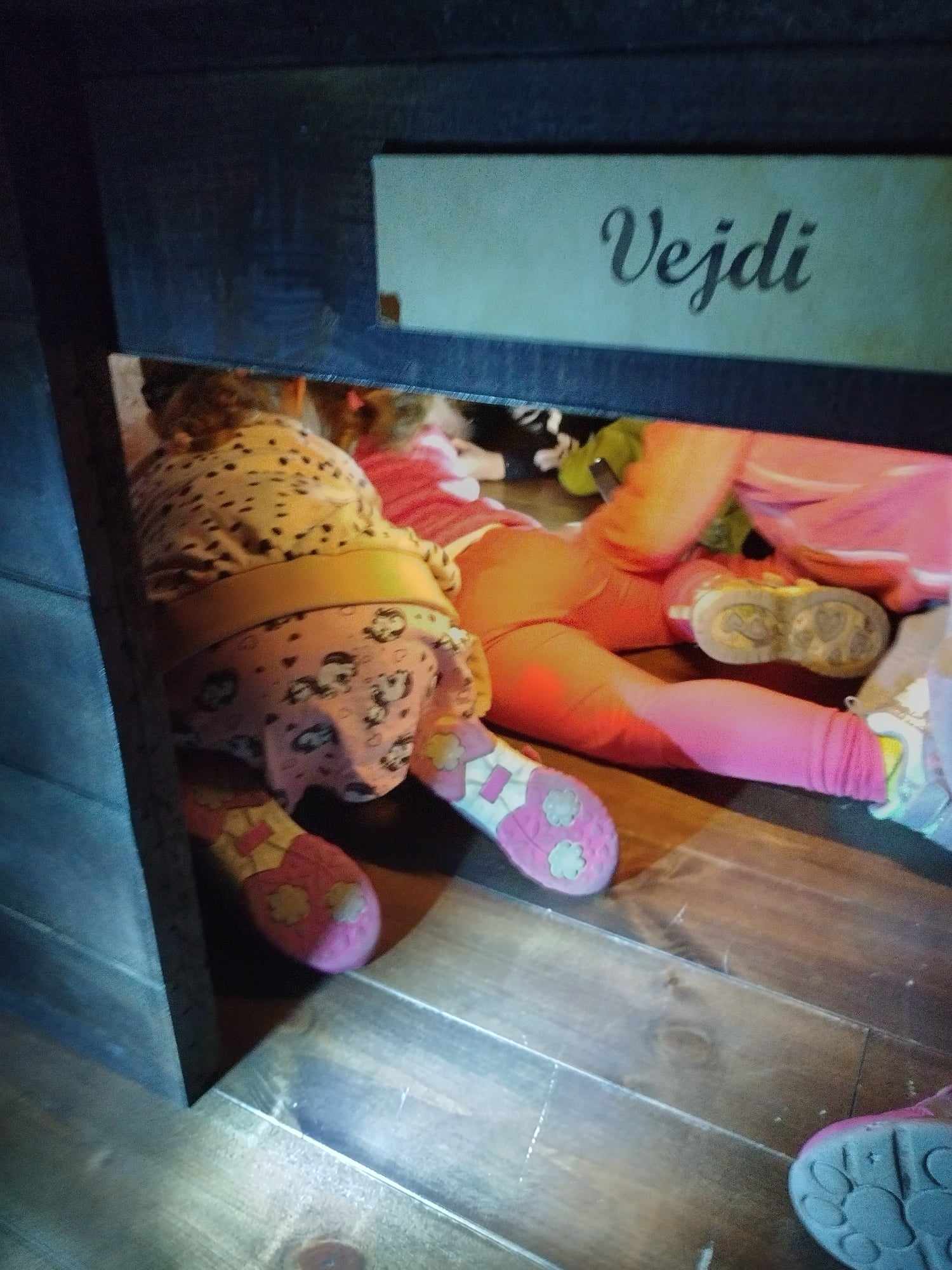 380245756_3294046827560221_1533710934805886821_n