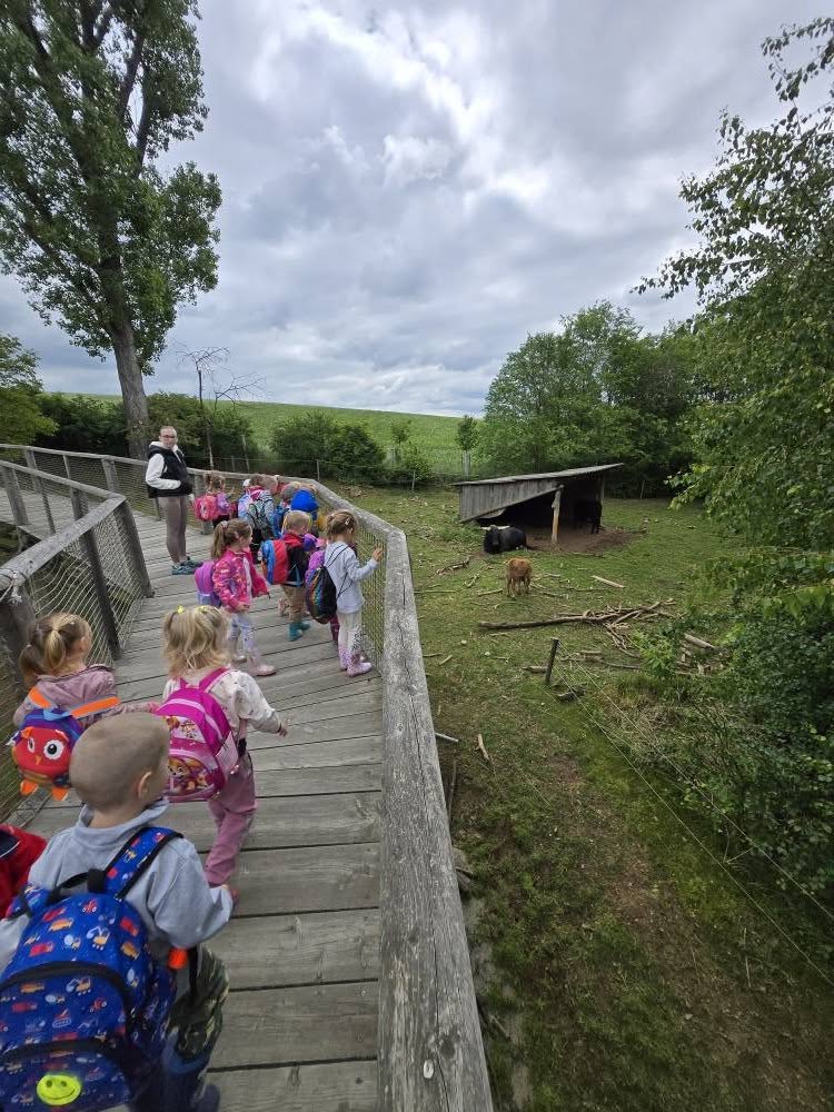 499538437_1386849715718554_2371747898560789438_n