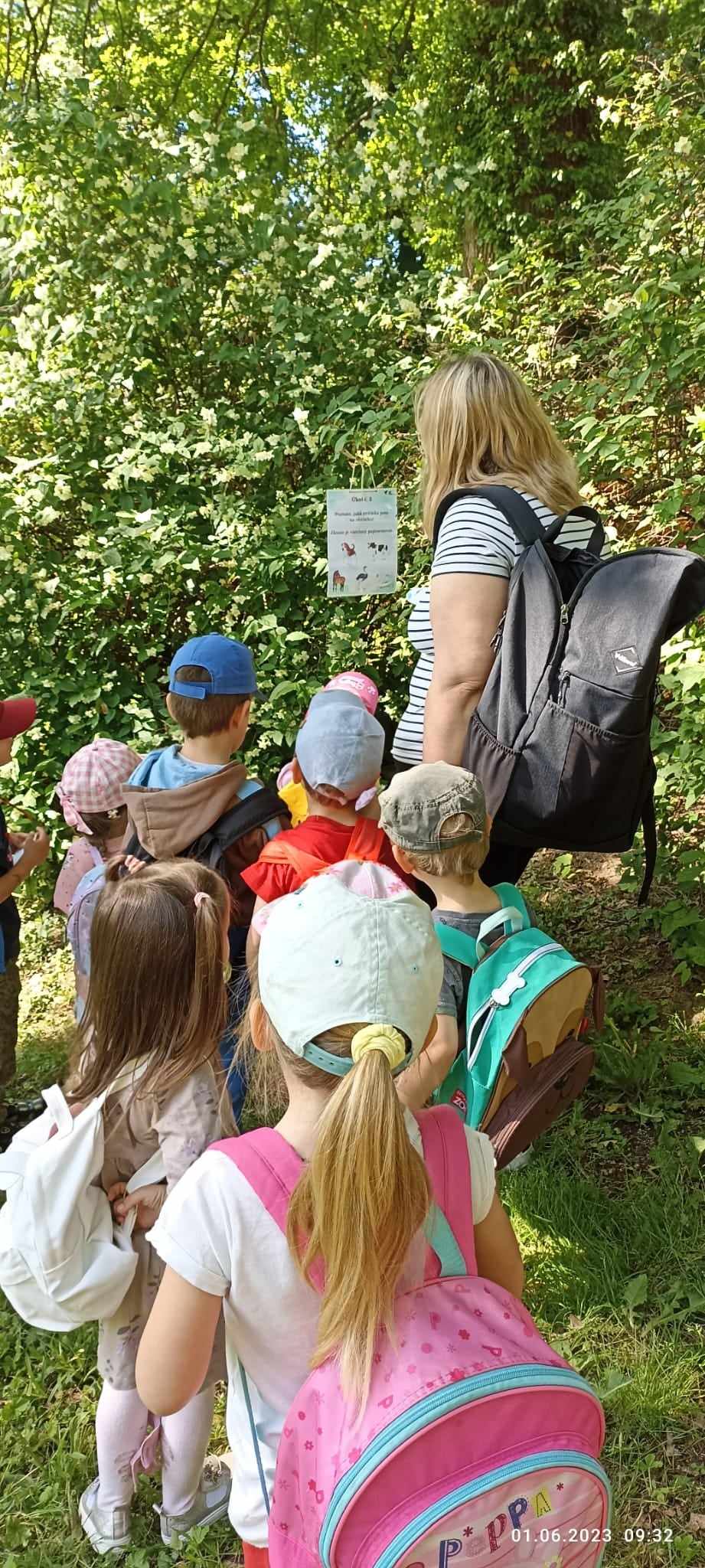 354067458_585216033756402_8697746427889520696_n