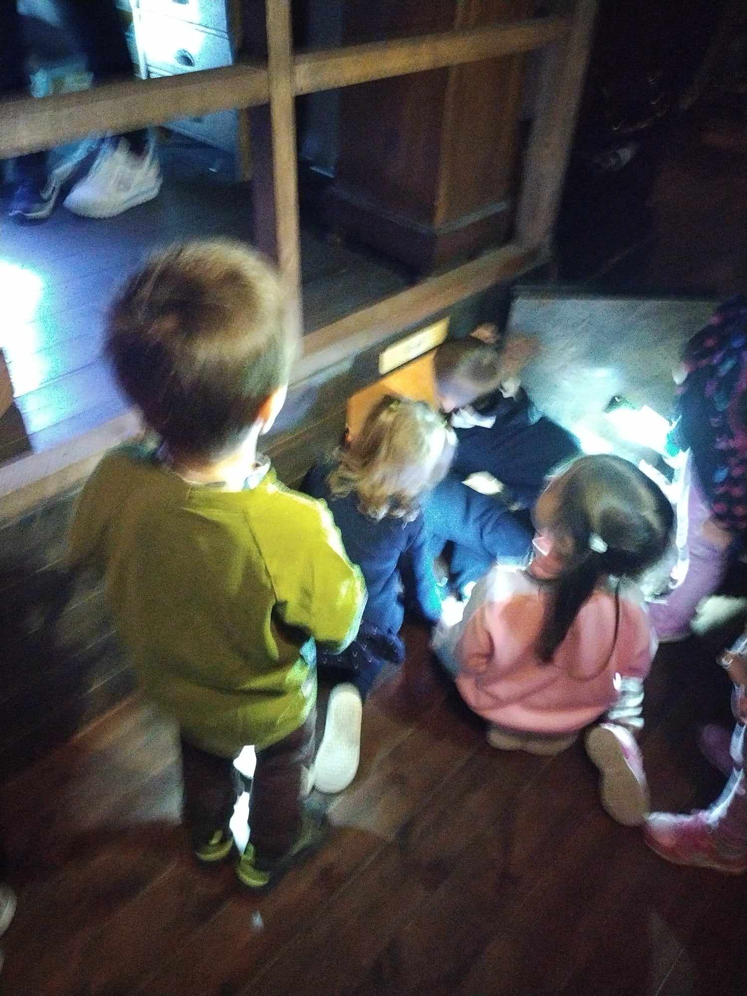 380386438_6847392815283534_3090687504272109595_n