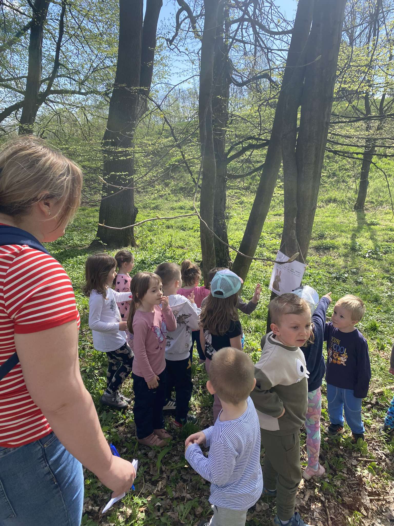 489403731_651485067503134_5939976318499449515_n