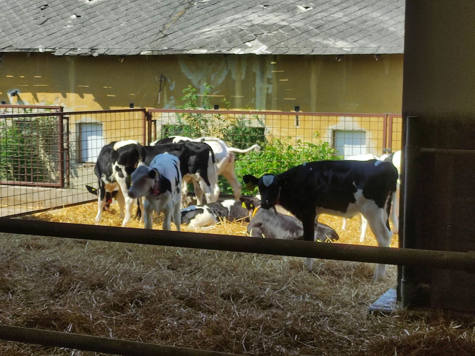 354483147_6214040722010922_8924810163625197558_n