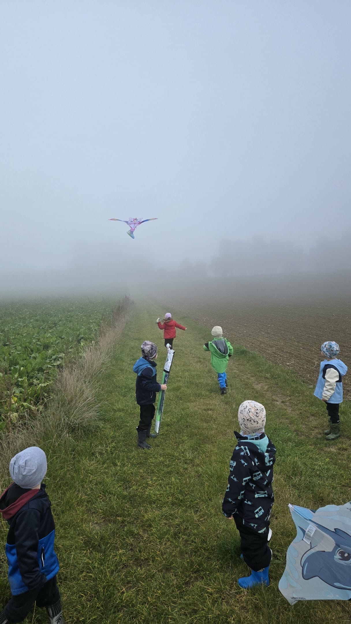 9f191eb3-1e03-4d70-9561-5c27ad3285e3