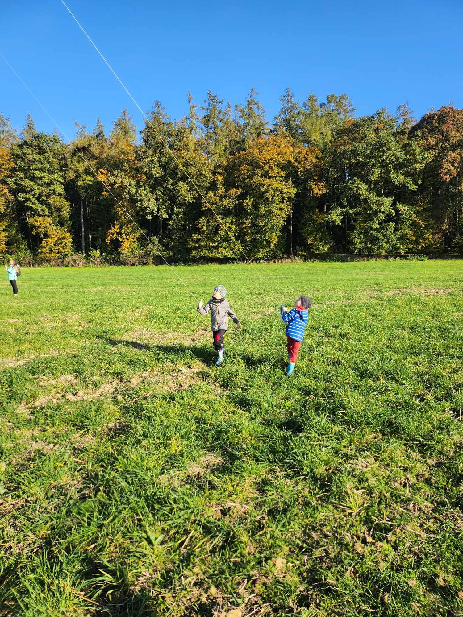 462535613_518516741160251_5309883211420433144_n (1)