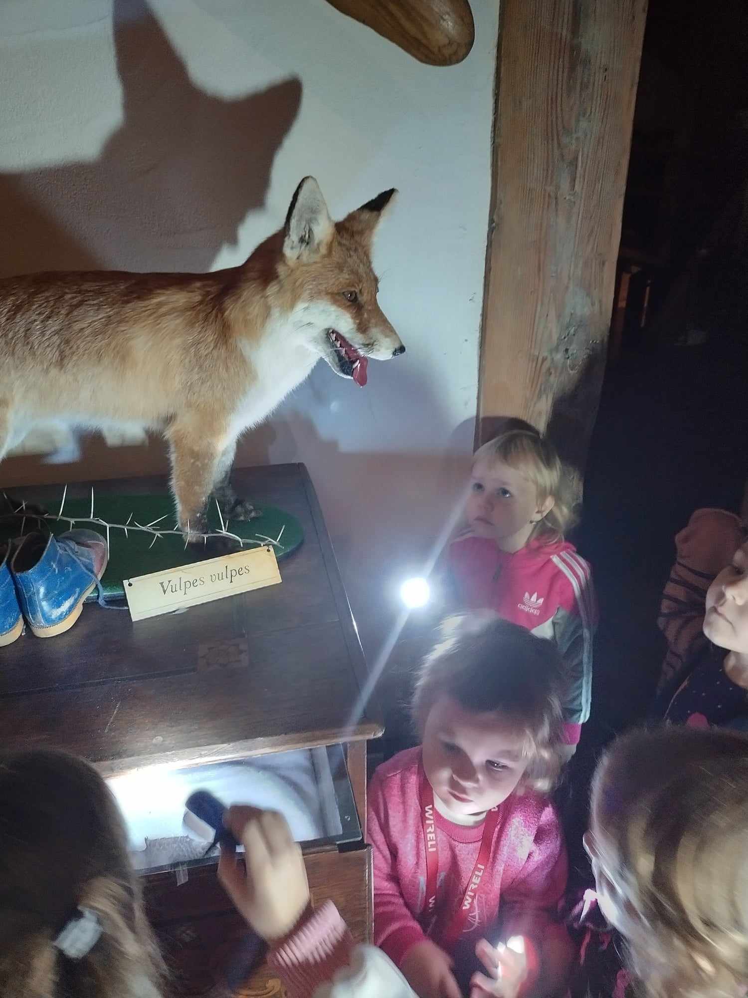 380539603_2664070993755622_1651290846000533999_n