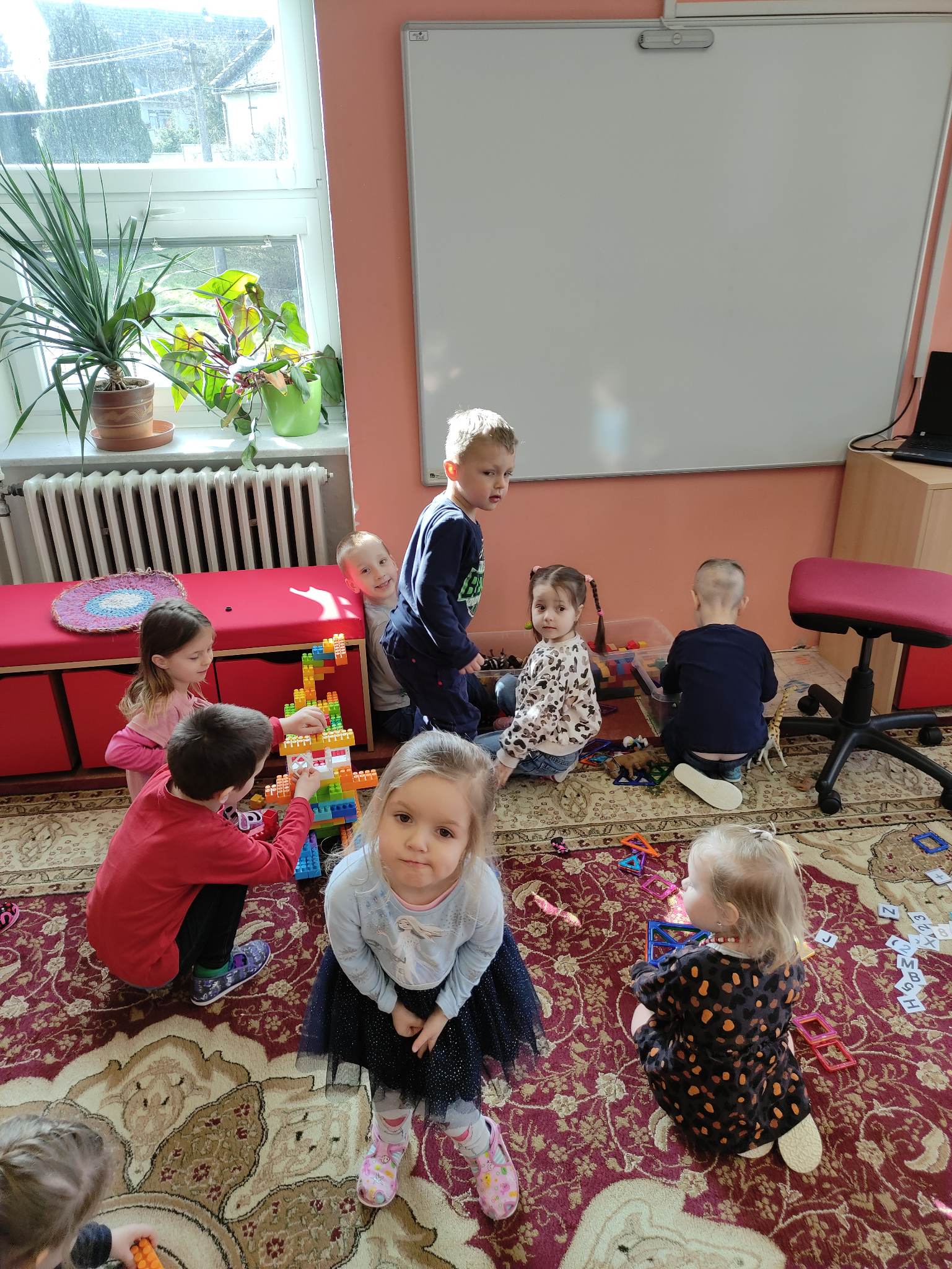 336478795_239474531813109_3864778189225965912_n