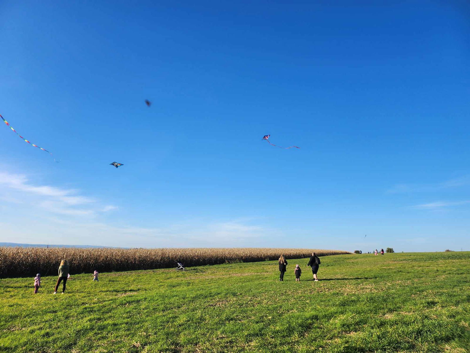 462538227_769103778690474_1784876810444349536_n