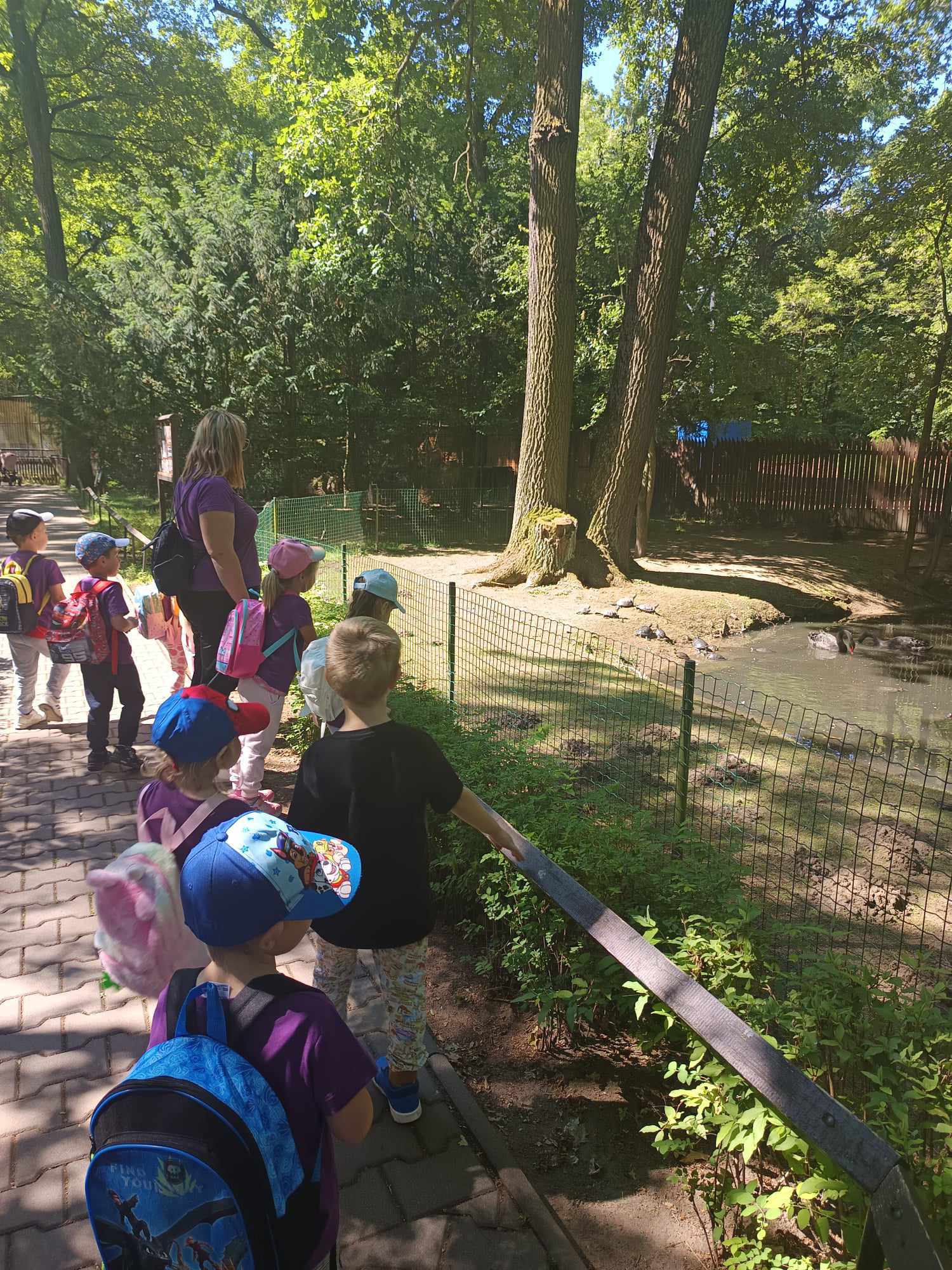 441938293_284084211366678_5986259200881961553_n