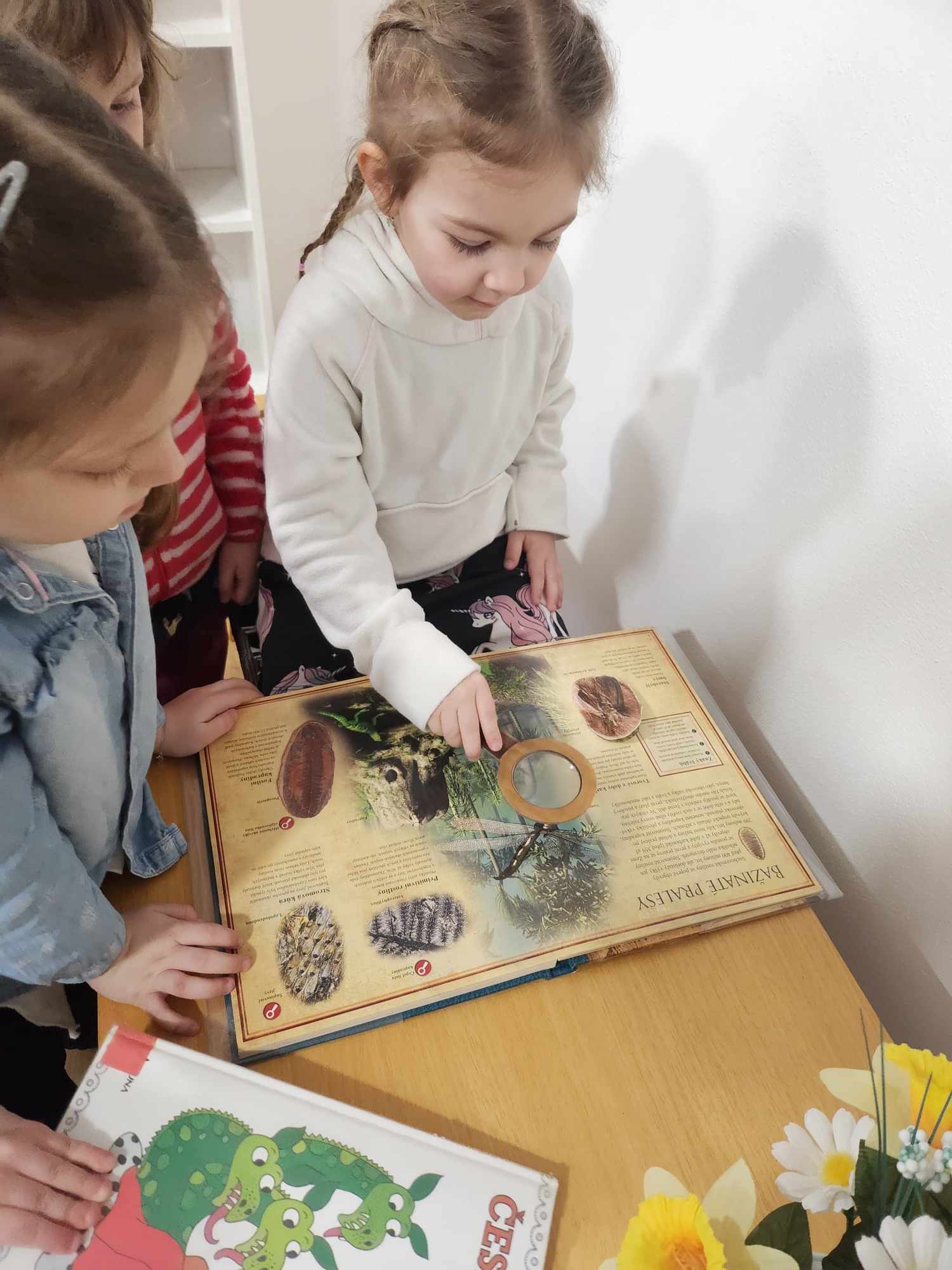 419743378_898378988963750_7326110025479117748_n