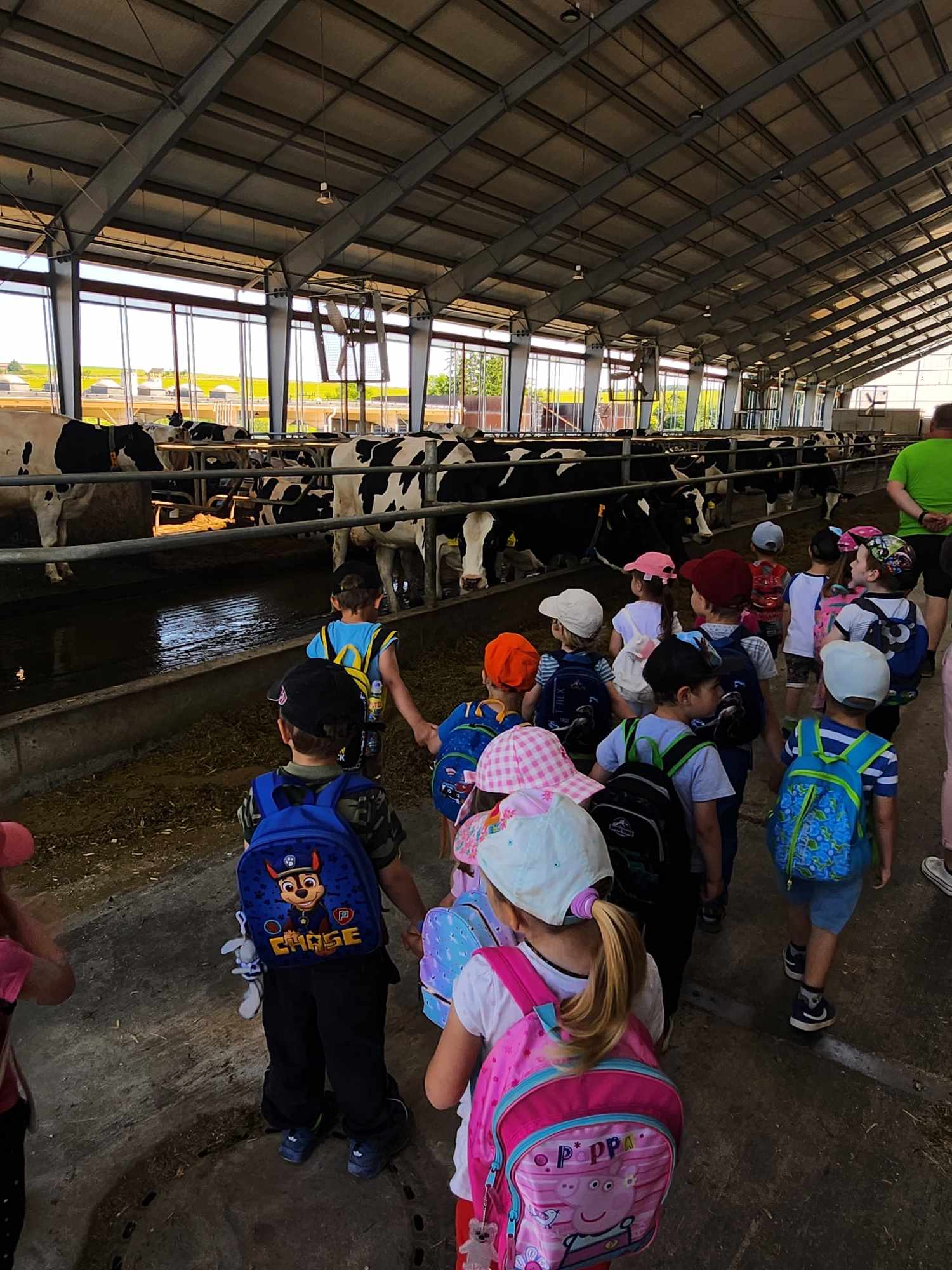 354574339_482694940723567_8444934886938862981_n