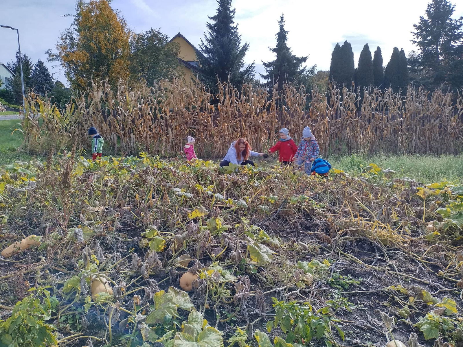 296809654_651593406467429_3990751458127996739_n