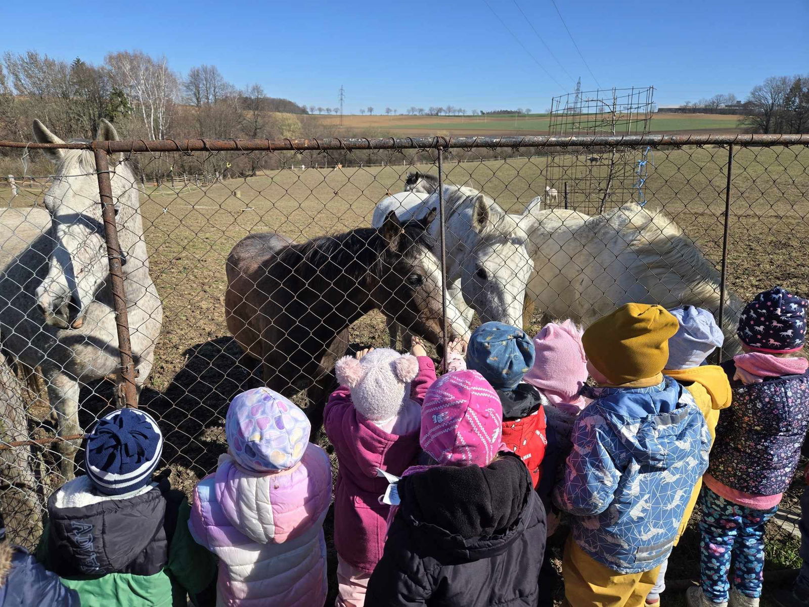 489675988_1158101956055273_6067991659092128215_n