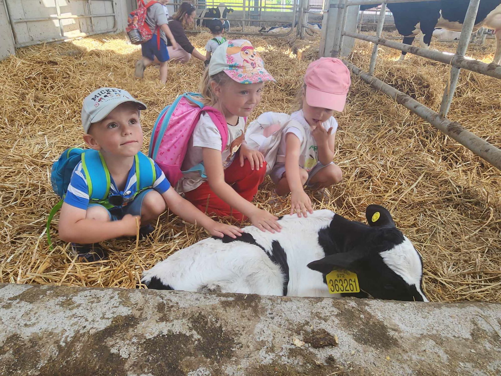 353415126_117793821349192_8588005162426245883_n