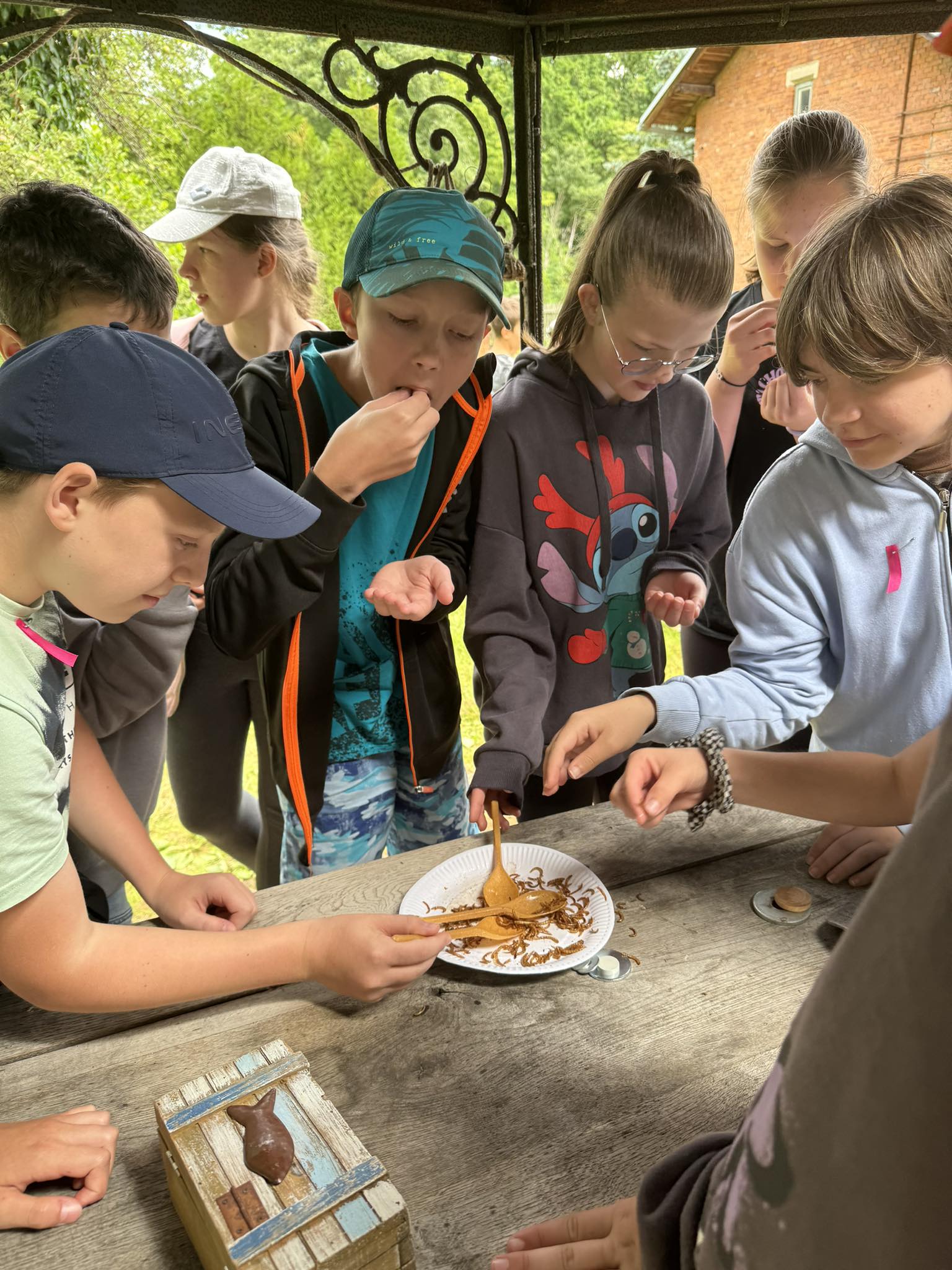 448261733_487738750483570_128655380407531722_n