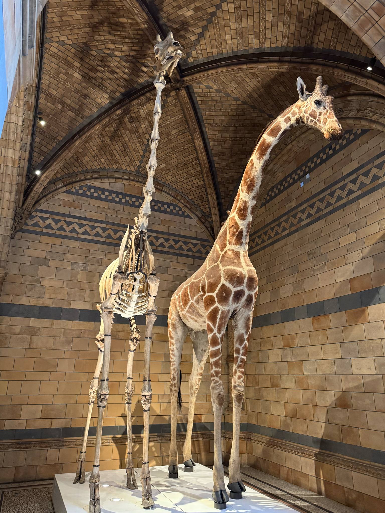 339984c0-aed4-4057-a87c-f16a7e1d73ec