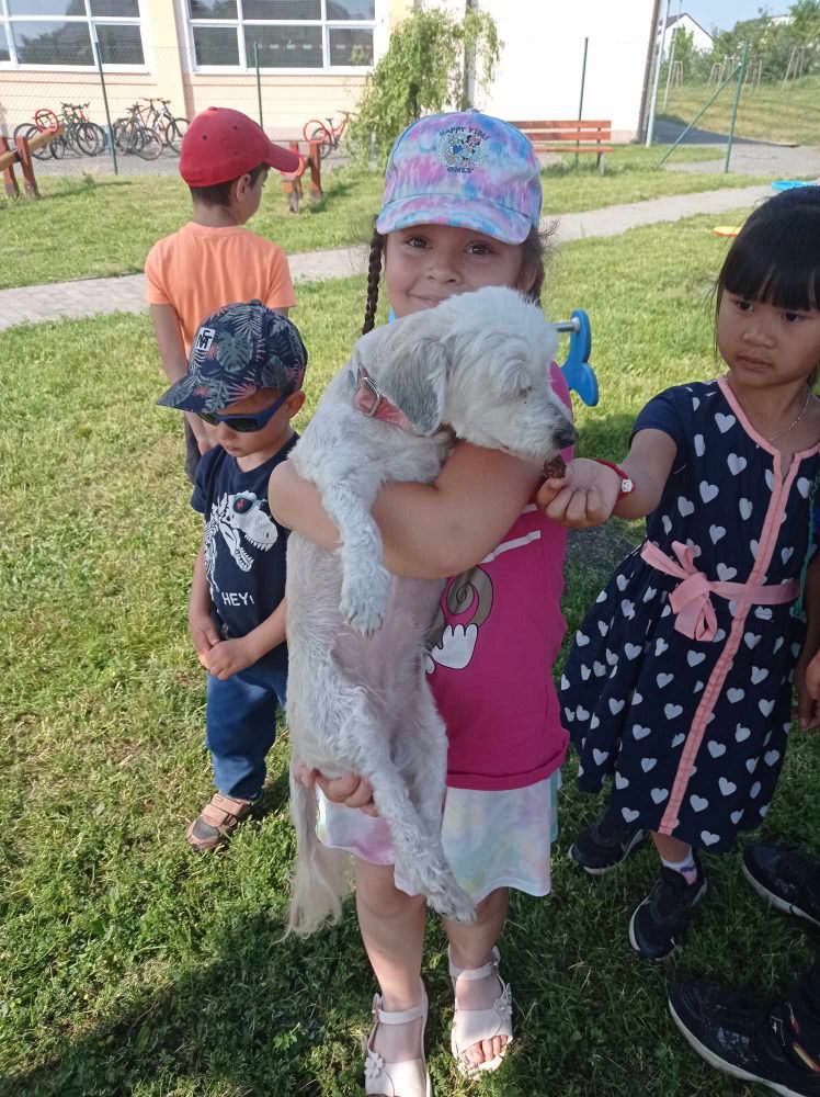 Messenger_creation_8a9c23e9-1309-4089-bc66-c4cad42fdf66