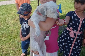 Messenger_creation_8a9c23e9-1309-4089-bc66-c4cad42fdf66