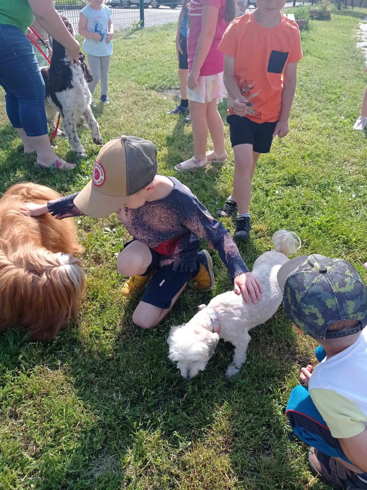 Messenger_creation_eab4c30e-7fc2-44dd-8650-65f1257fbe47