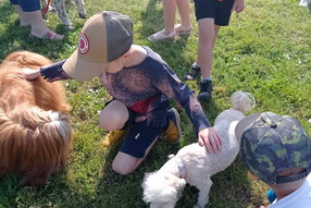 Messenger_creation_eab4c30e-7fc2-44dd-8650-65f1257fbe47