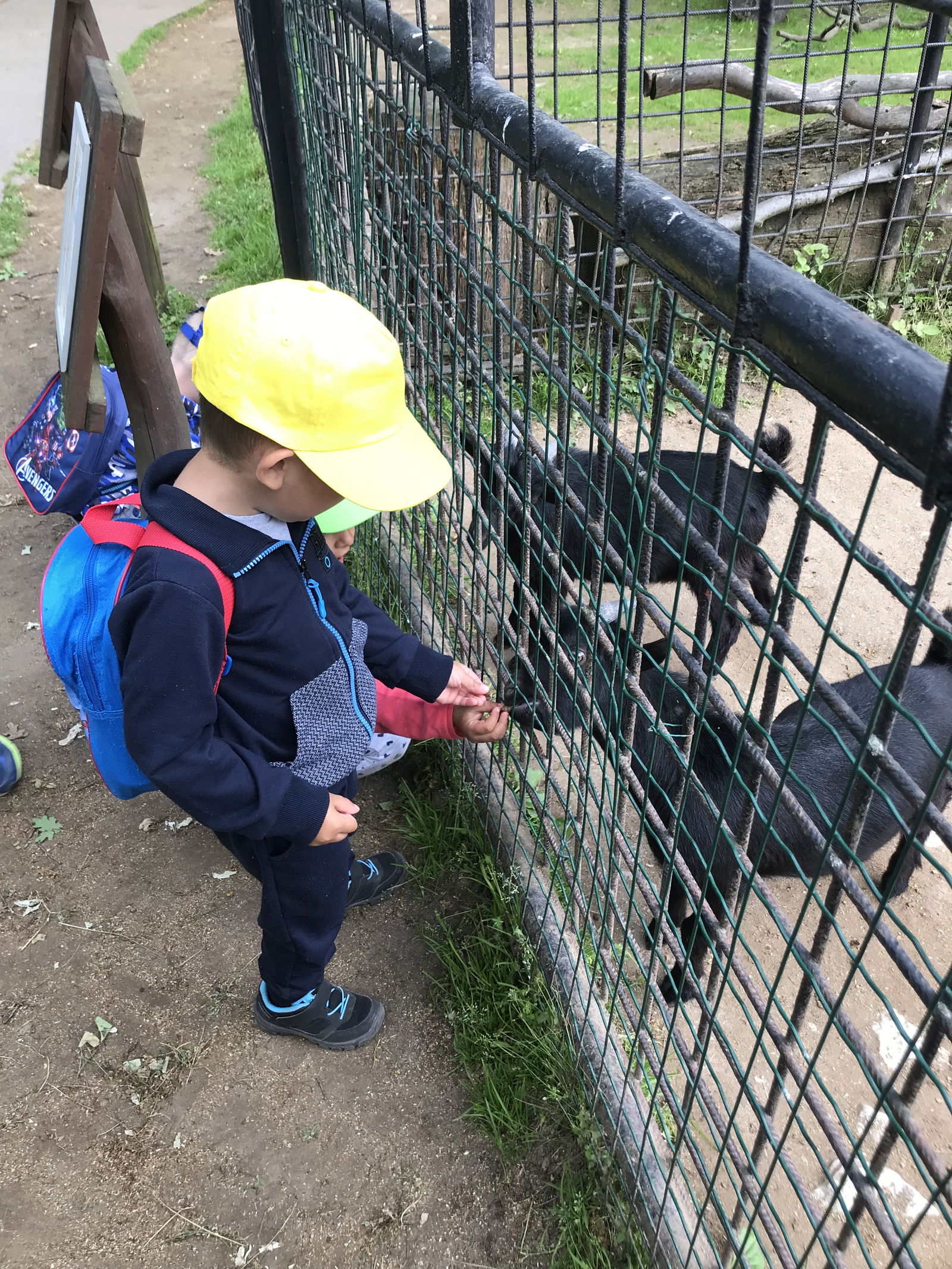 D7A4D65E-6BF7-4194-967D-7E8C32D84963