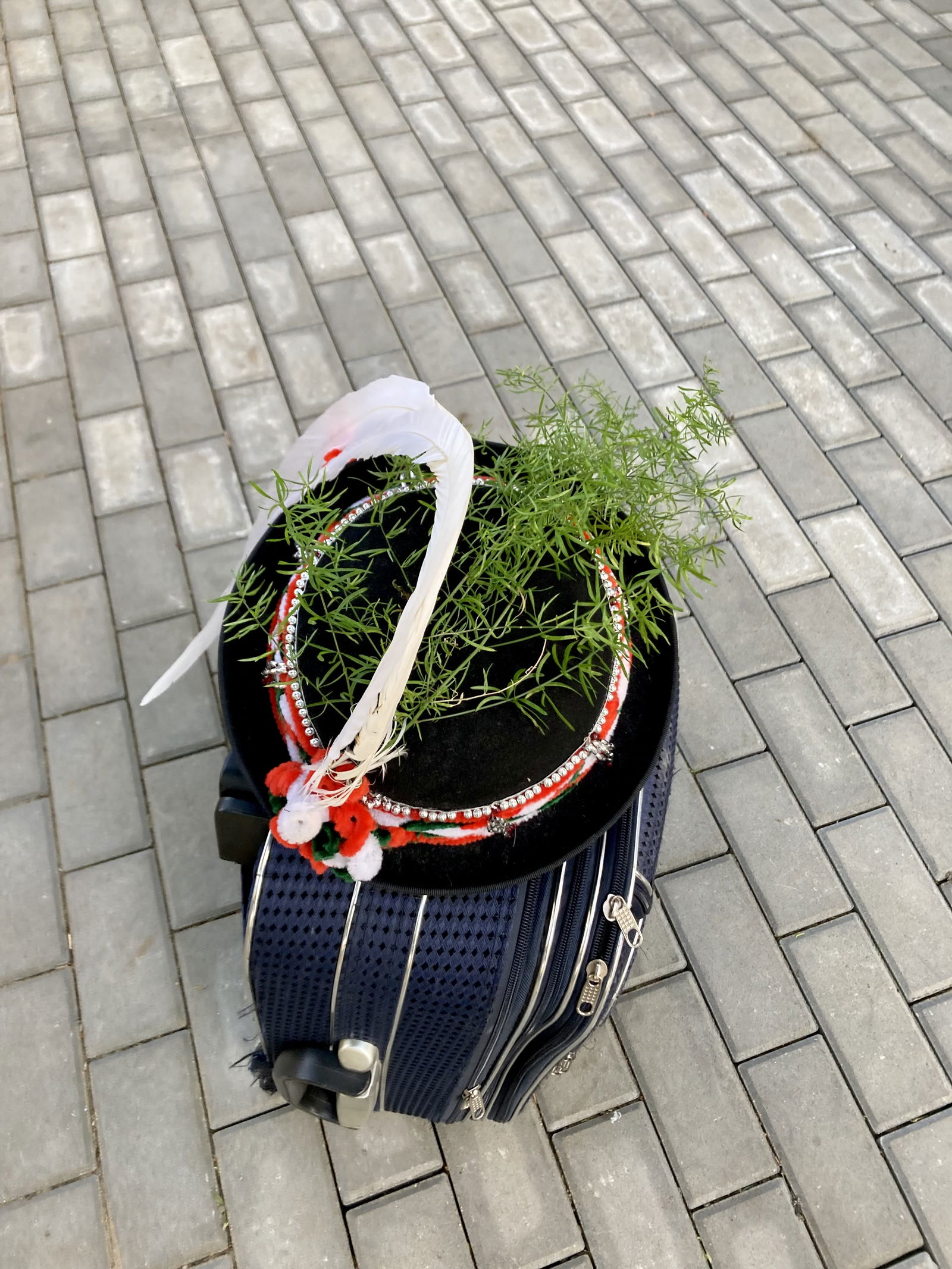 091A638D-DD98-4B1F-A21D-E7E446F437F7 (1)