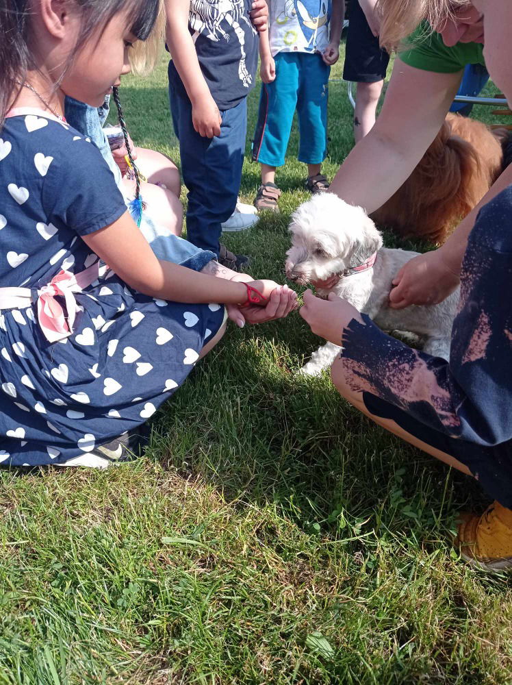 Messenger_creation_5fc264e6-77a3-4613-be54-34bd92574d8a