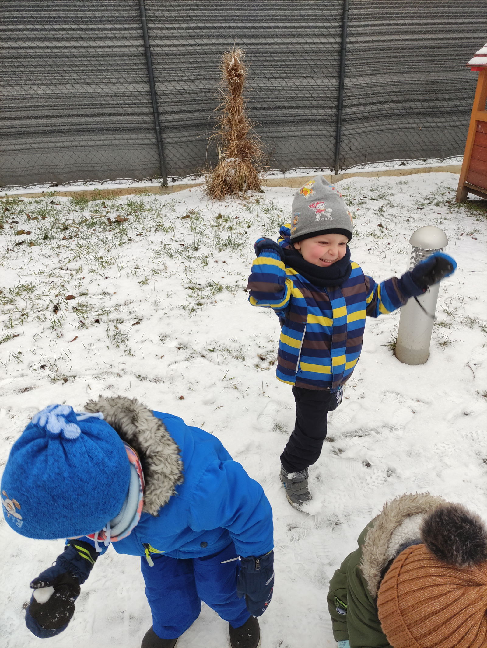 IMG_20221215_103941_1