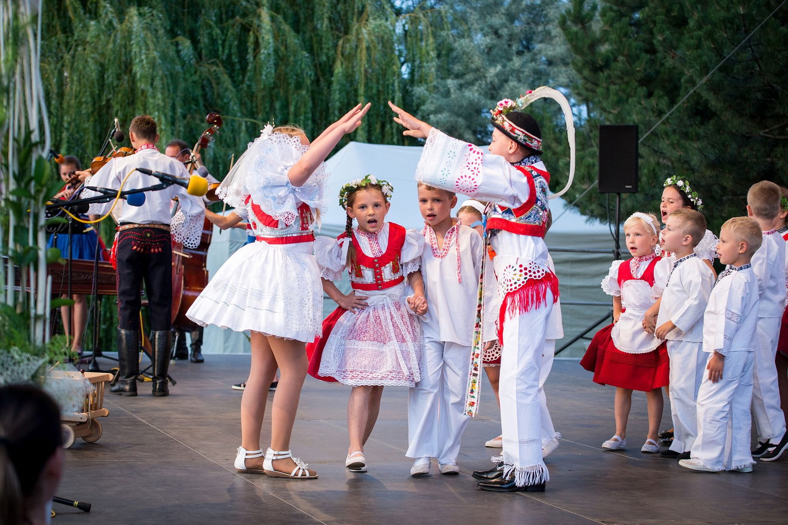 20121496_10207566619643352_8012580736483972133_o