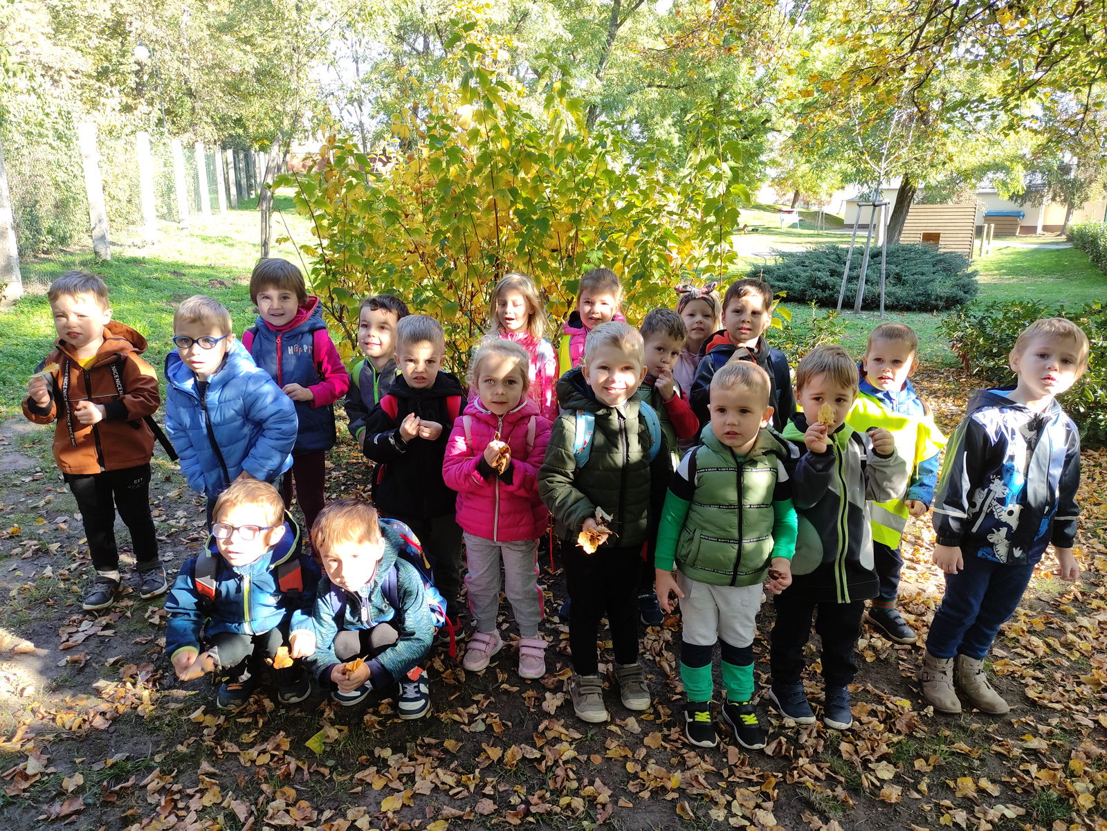 IMG_20221018_101311_1