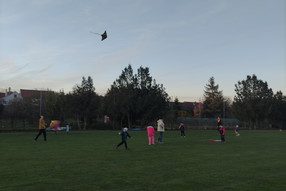 IMG_20231101_162526