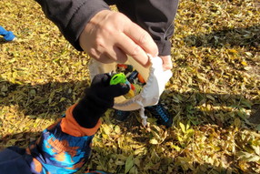 Messenger_creation_DA6D0AAB-8124-4532-811A-1EA7AC1B4CB4