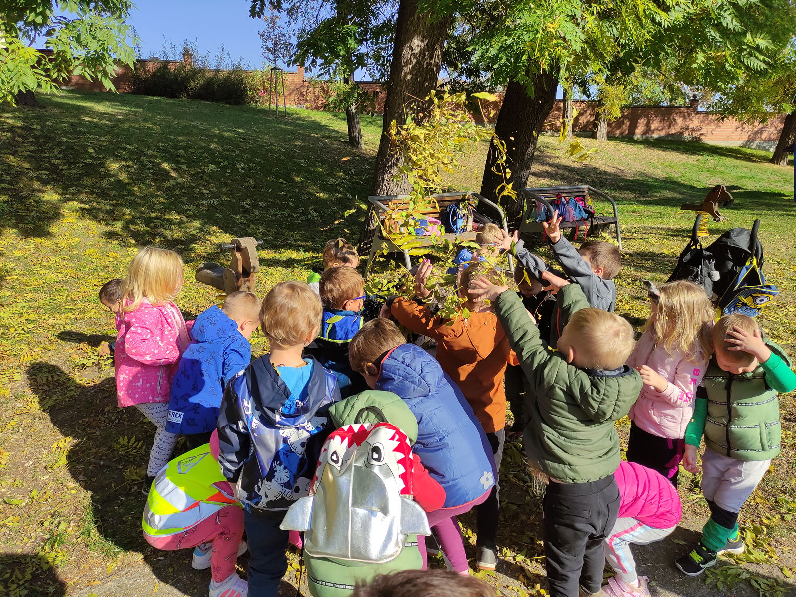 IMG_20221018_103843_1