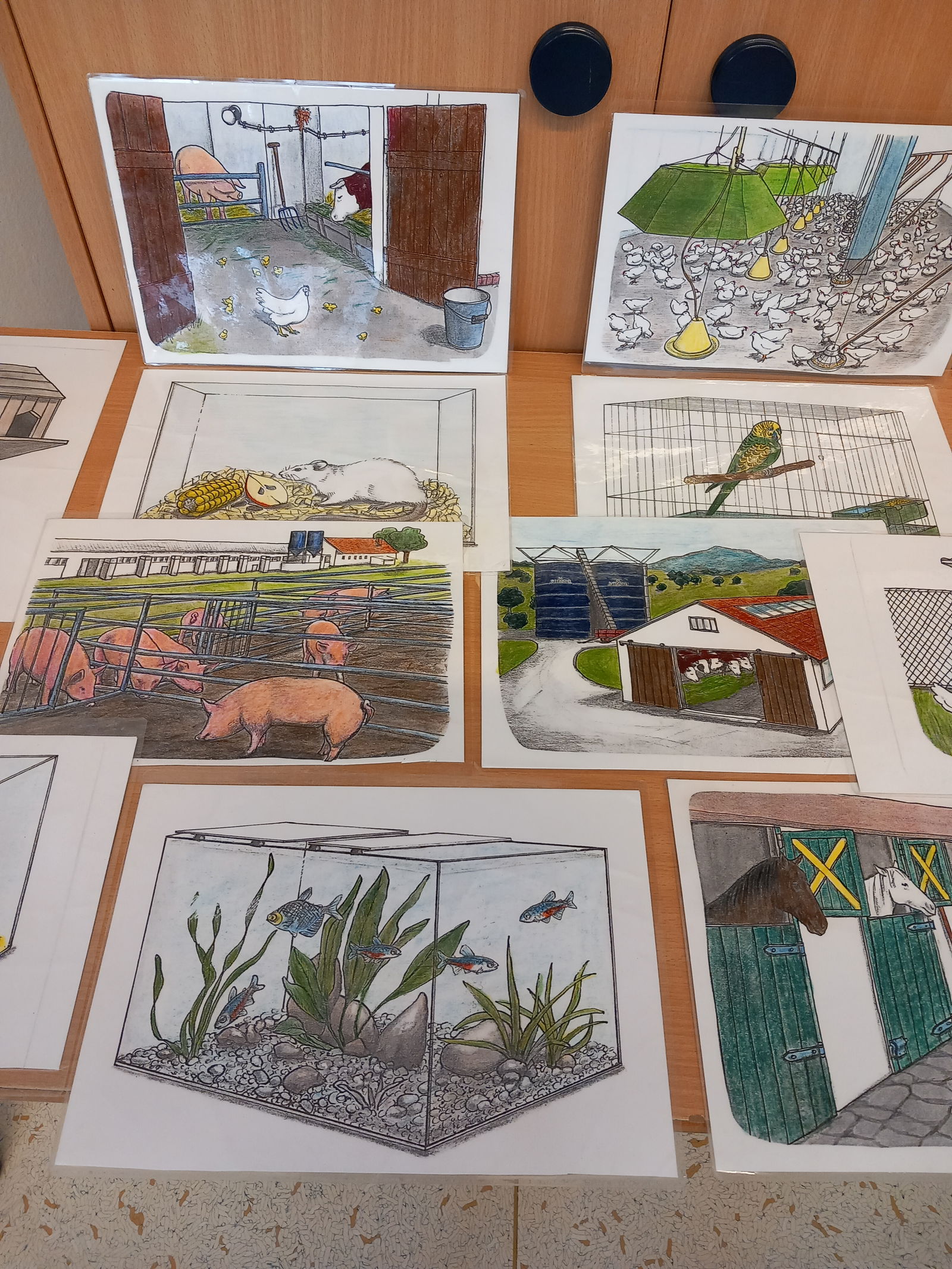 1. schůzka - obydlí zvířátek