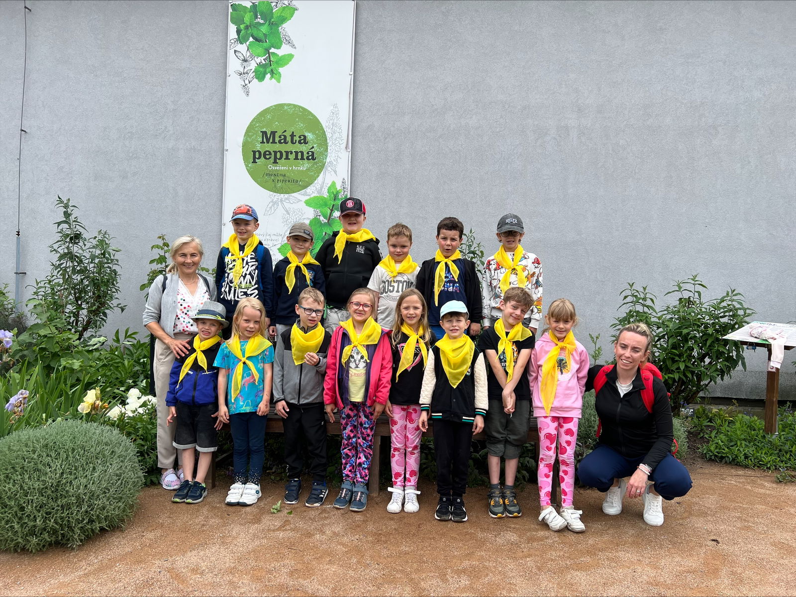 processed-291A11C4-8551-40D7-9819-427ACEDD1A75