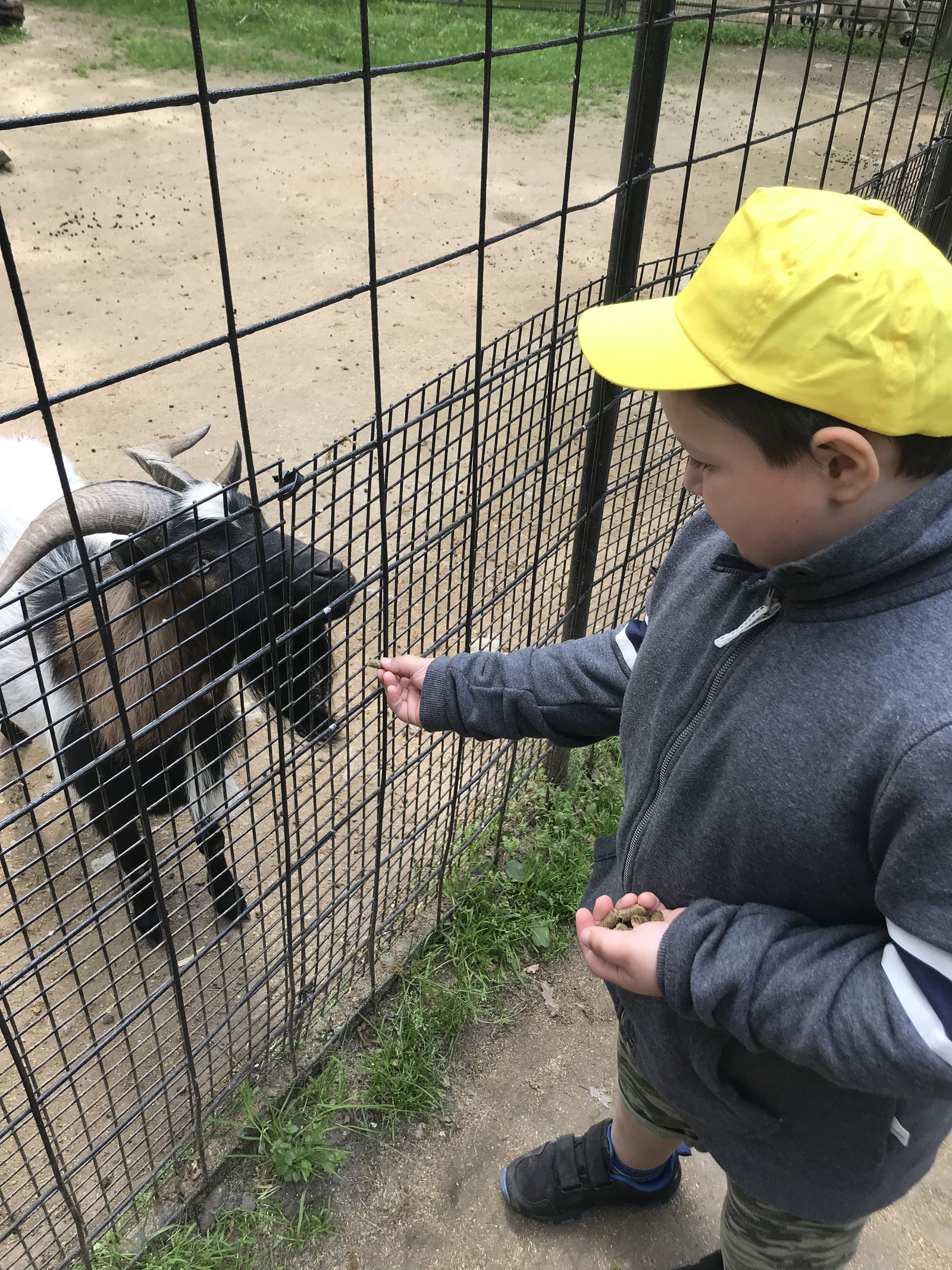 AD554C6D-A134-4887-A725-8F77C87902A8