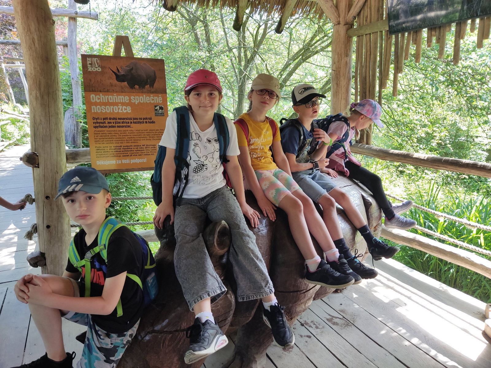 ZOO 4