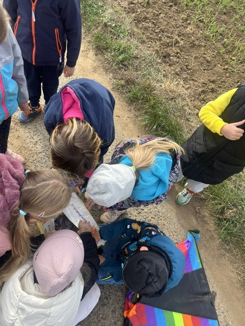 image15