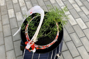 091A638D-DD98-4B1F-A21D-E7E446F437F7 (1)