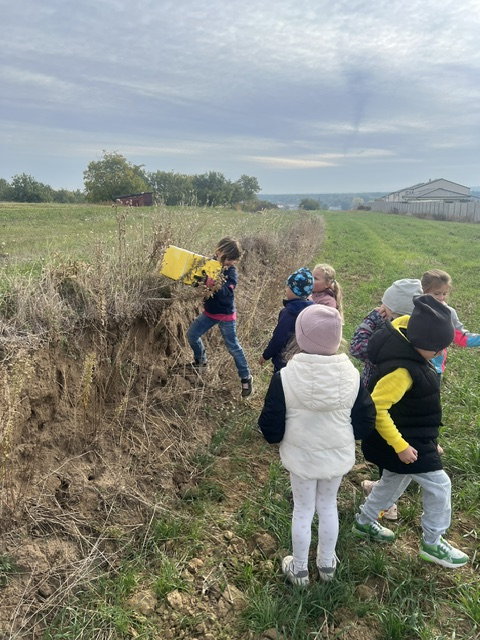 image13