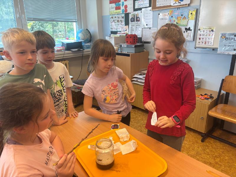 stažený soubor (7)