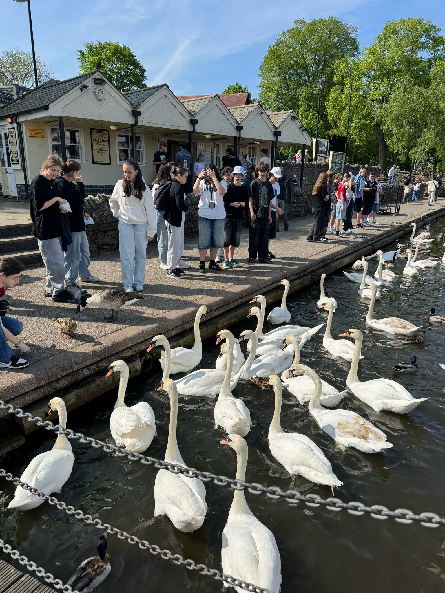 ee3141bf-15a8-41e8-aba3-48dc99cc2572