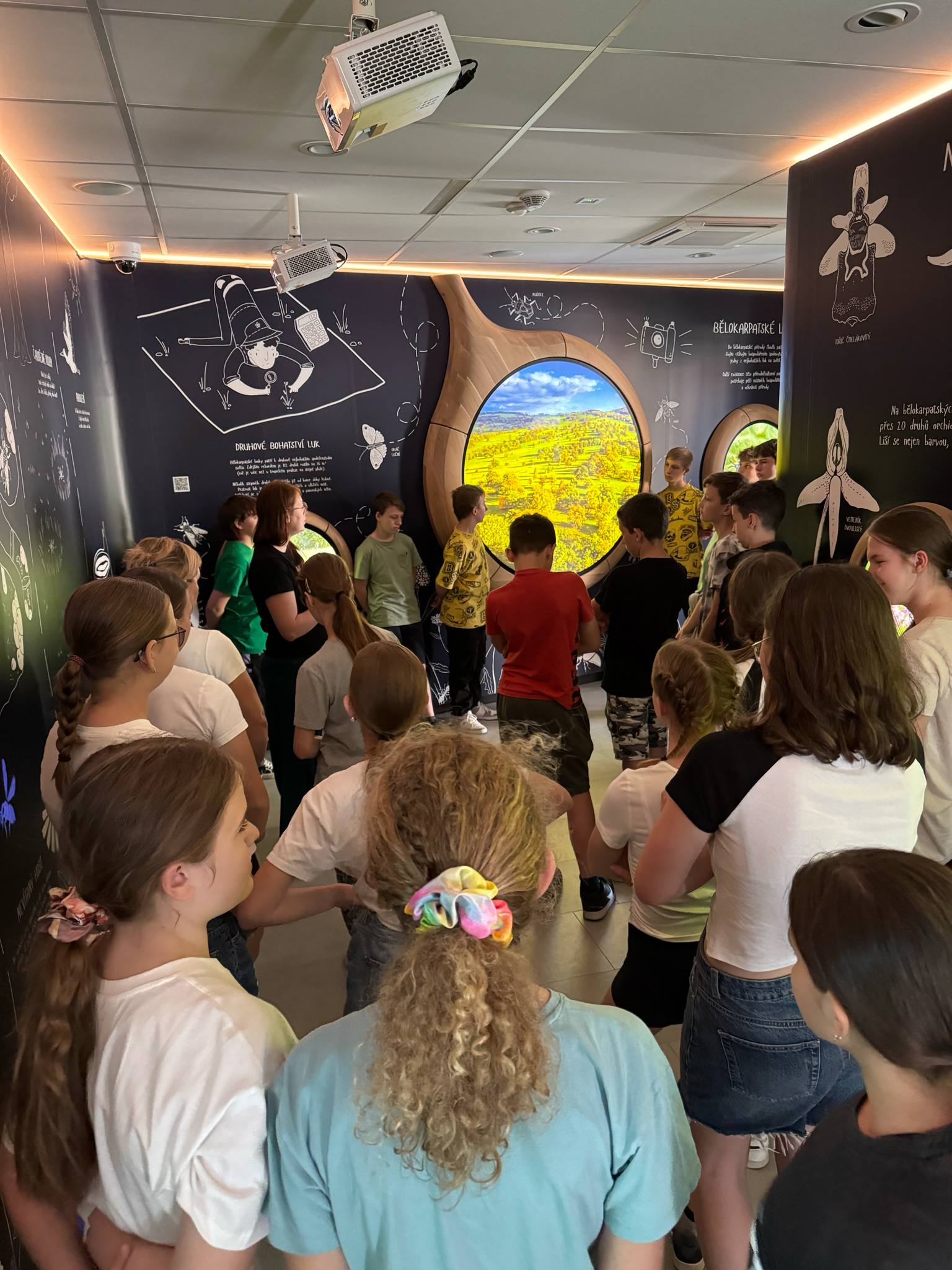 d4becc10-04aa-43d8-84ee-ab1e295d119c