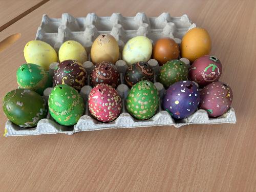 stažený soubor (12)