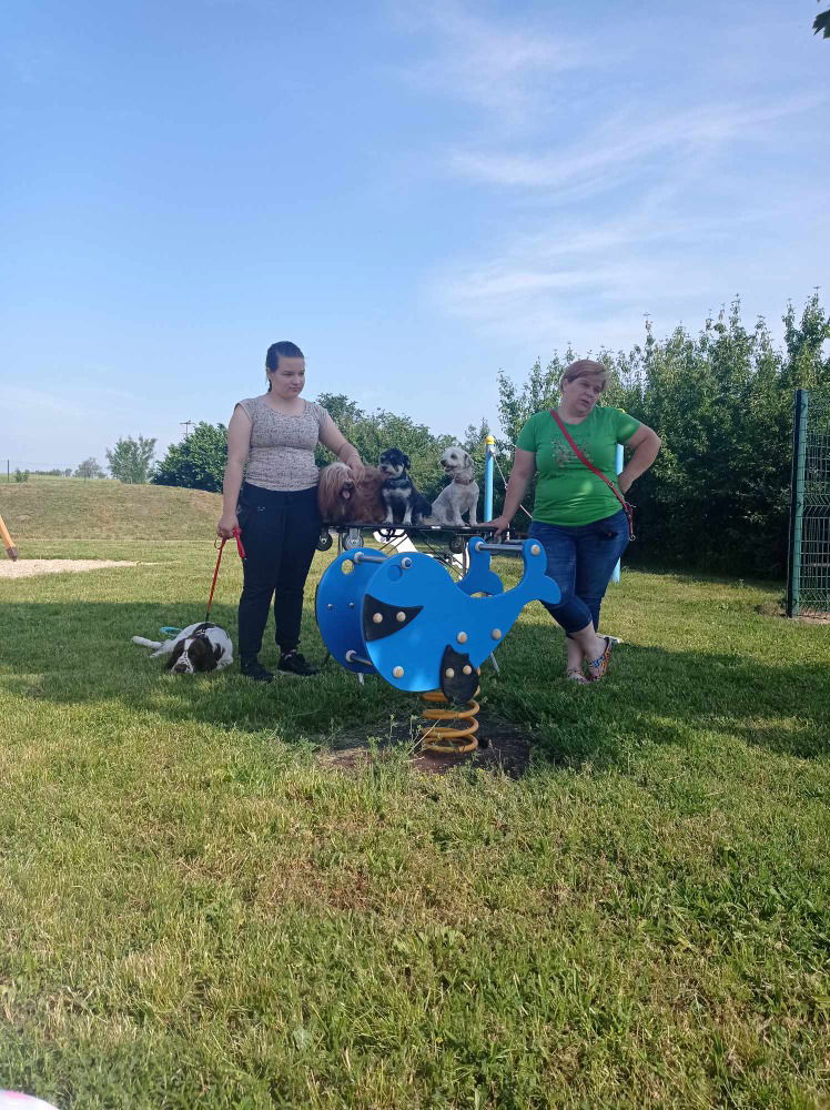 Messenger_creation_912ccee9-b8a3-4f3a-ab6f-0432c7b2c310