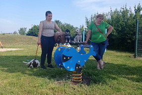 Messenger_creation_912ccee9-b8a3-4f3a-ab6f-0432c7b2c310