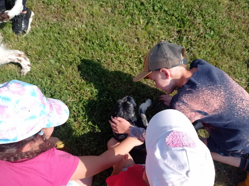 Messenger_creation_2cf7ba5c-dd67-4e3c-bb98-387c9ba430ae