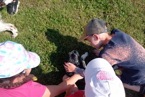 Messenger_creation_2cf7ba5c-dd67-4e3c-bb98-387c9ba430ae