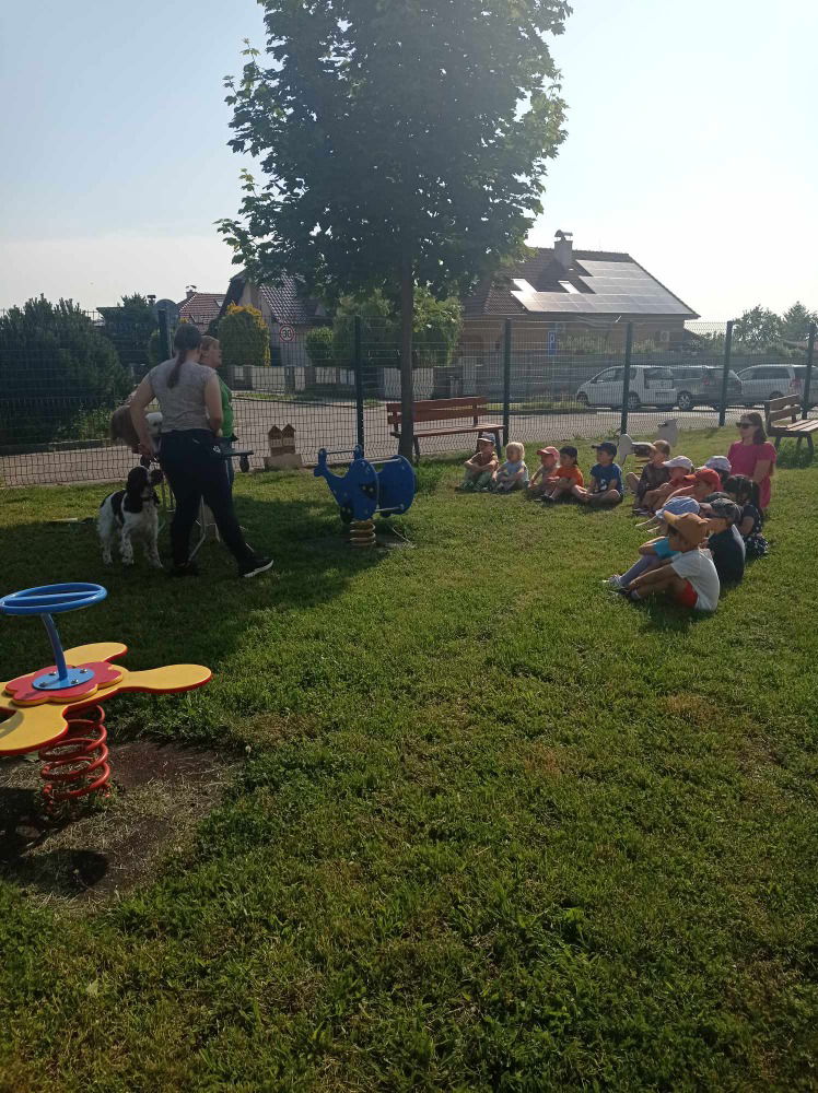 Messenger_creation_f3dec901-56b6-478f-97f1-32000a30ee34