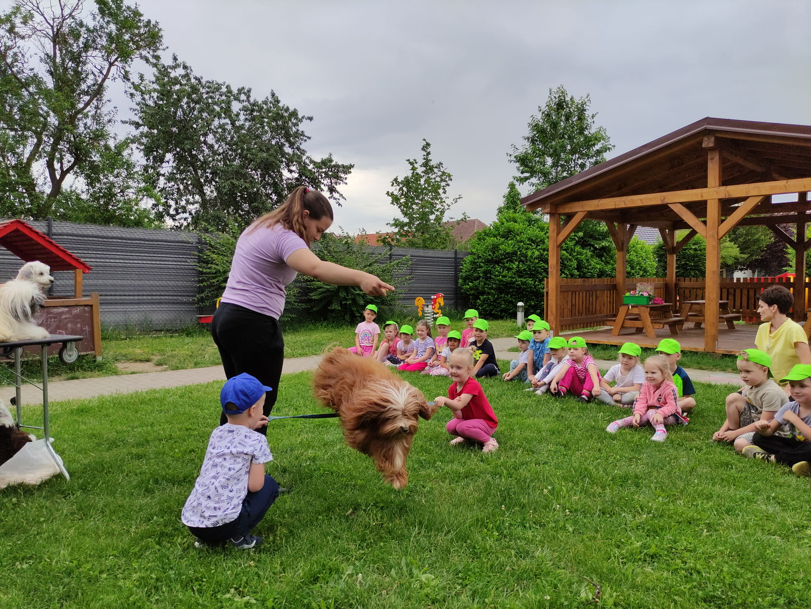 IMG_20240531_095405_1